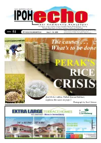 The Causes . . . What's to Be Done