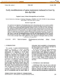 Early Modifications of Gene Expression Induced in Liver by Azo-Dye Diet