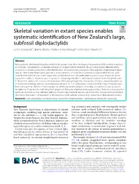 Skeletal Variation in Extant Species Enables Systematic Identification of New Zealand's Large, Subfossil Diplodactylids
