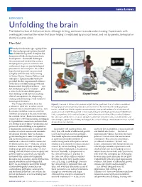 Biophysics: Unfolding the Brain