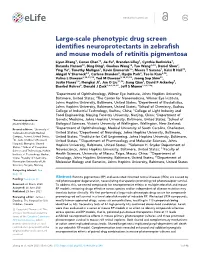 Large-Scale Phenotypic Drug Screen Identifies Neuroprotectants in Zebrafish and Mouse Models of Retinitis Pigmentosa Liyun Zhan