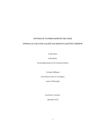 Synthesis of Polymer Nanoparticles Using