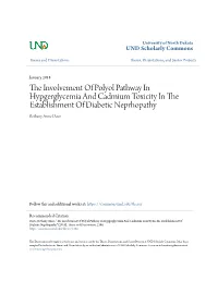 The Involvement of Polyol Pathway in Hypgerglycemia and Cadmium Toxicity in the Establishment of Diabetic Neprhopathy