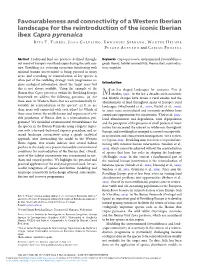 Favourableness and Connectivity of a Western Iberian Landscape for the Reintroduction of the Iconic Iberian Ibex Capra Pyrenaica