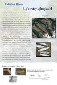 Liq'a Nagh Qinqtudet, Eklutna River Poster