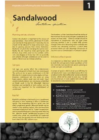 Sandalwood Fact Sheet No. 1
