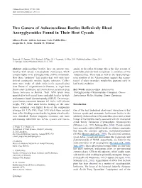 Two Genera of Aulacoscelinae Beetles Reflexively Bleed Azoxyglycosides Found in Their Host Cycads