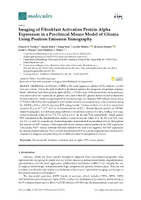 Imaging of Fibroblast Activation Protein Alpha Expression in a Preclinical Mouse Model of Glioma Using Positron Emission Tomography