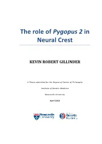 The Role of Pygopus 2 in Neural Crest
