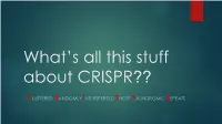 What's All This Stuff About CRISPR??