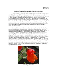 Classification and Botanical Description of Legumes