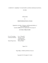 COMMUNITY ASSEMBLY of NEOTROPICAL FROGS ACROSS ECOLOGICAL SCALES a Dissertation by CHRISTOPHER MICHAEL SCHALK Submitted To