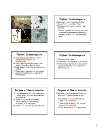 Deuteromycota Phylum: Deuteromycota Commonly Referred to As the Fungi Imperfecti Or Imperfect Fungi