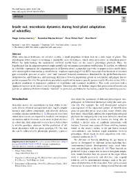 Microbiota Dynamics During Host-Plant Adaptation of Whiteﬂies