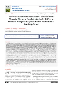Performance of Different Varieties of Cauliflower (Brassica Oleracea Var
