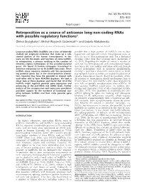 Retroposition As a Source of Antisense Long Non-Coding Rnas with Possible Regulatory Functions