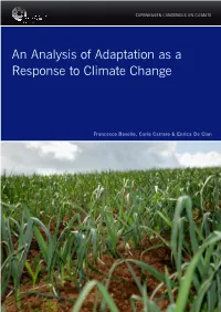 An Analysis of Adaptation As a Response to Climate Change
