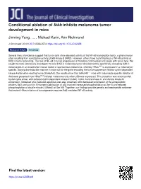 Conditional Ablation of Ikkb Inhibits Melanoma Tumor Development in Mice