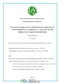 Stochastic Modelling of the Reservoir Lithological and Petrophysical Attributes