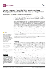 Current Status and Potential of RNA Interference for the Management of Tomato Spotted Wilt Virus and Thrips Vectors
