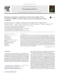 Pathogenic Mechanisms Underlying X-Linked Charcot-Marie-Tooth Neuropathy (CMTX6) in Patients with a Pyruvate Dehydrogenase Kinase 3Mutation