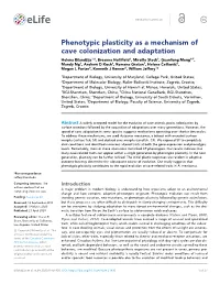 Phenotypic Plasticity As a Mechanism of Cave Colonization and Adaptation