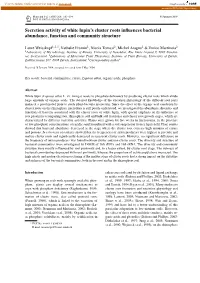 Secretion Activity of White Lupin's Cluster Roots Influences Bacterial