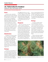 16. Scleroderris Canker Michael E