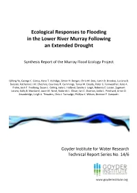 Ecological Responses to Flooding in the Lower River Murray Following an Extended Drought
