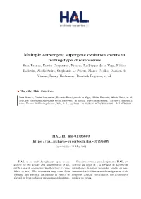 Multiple Convergent Supergene Evolution Events in Mating-Type