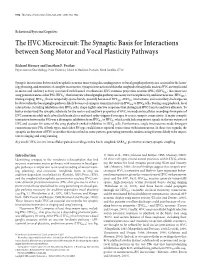 The HVC Microcircuit: the Synaptic Basis for Interactions Between Song Motor and Vocal Plasticity Pathways