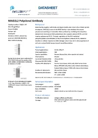 DATASHEET USA: Proteintech@Ptglab.Com