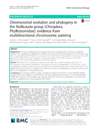 Chromosomal Evolution and Phylogeny in the Nullicauda Group
