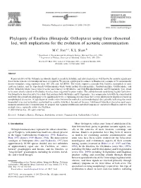 Phylogeny of Ensifera (Hexapoda: Orthoptera) Using Three Ribosomal Loci, with Implications for the Evolution of Acoustic Communication