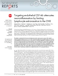 Targeting Endothelial CD146 Attenuates Neuroinflammation By