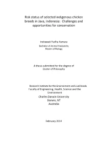 Risk Status of Selected Indigenous Chicken Breeds in Java, Indonesia: Challenges and Opportunities for Conservation