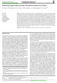 Exploring Fungal Mega-Diversity: &lt;I&gt;Pseudocercospora&lt;/I&gt; from Brazil