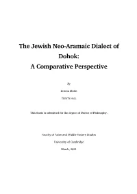 Thesis (PDF, 5Mb)