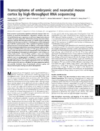 Transcriptome of Embryonic and Neonatal Mouse Cortex by High-Throughput RNA Sequencing