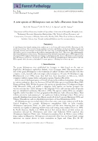 A New Species of Melampsora Rust on Salix Elbursensis from Iran
