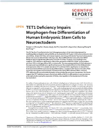 TET1 Deficiency Impairs Morphogen-Free Differentiation Of