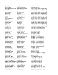 LSU MNS Big Day List 2020