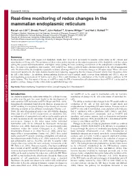 Real-Time Monitoring of Redox Changes in the Mammalian Endoplasmic Reticulum