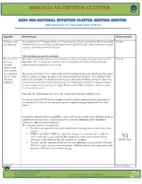 Somalia Nutrition Cluster