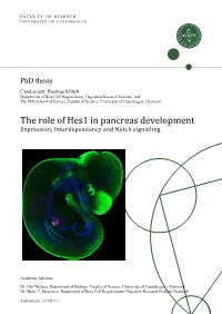 The Role of Hes1 in Pancreas Development Expression, Interdependancy and Notch Signalling