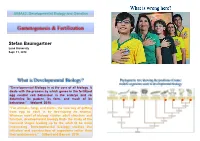 Gametogenesis & Fertilization