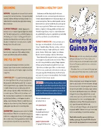 Pamphlet-Color.Pdf