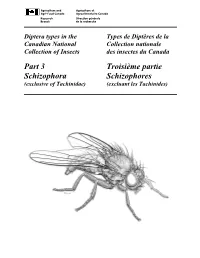 Part 3 Schizophora Troisième Partie Schizophores