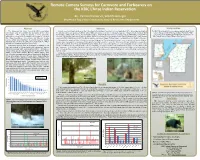 Remote Camera Surveys for Carnivore and Furbearers on the KBIC L’Anse Indian Reservation