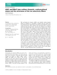 ASIC and Enac Type Sodium Channels: Conformational States and the Structures of the Ion Selectivity ﬁlters Israel Hanukoglu